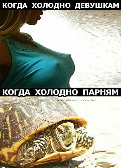 КОГДА холодно девушкдм КОГДА ХОЛОДНО ПАРНЯМ