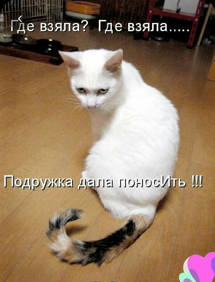_ Где взяла Где взяла