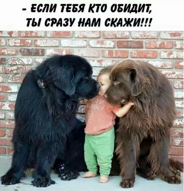 ЕСЛИ ТЕБЯ К70 ОБИДИЪ