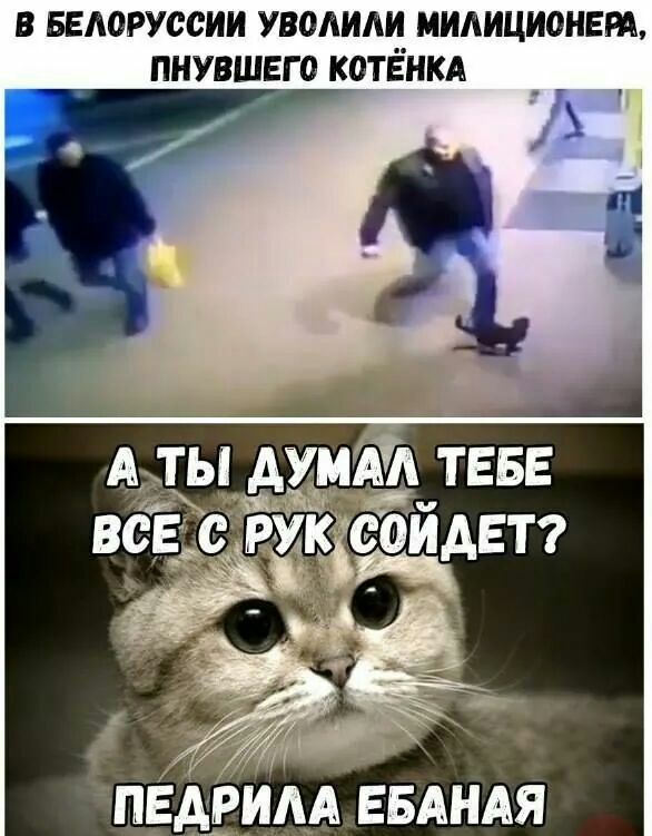 В БЕЛОРУССИИ УВОМАИ МИАИЦИОНЕРА ПНУВШЕГО КОТЁНКА пЕддвим ЕБАНАЯ