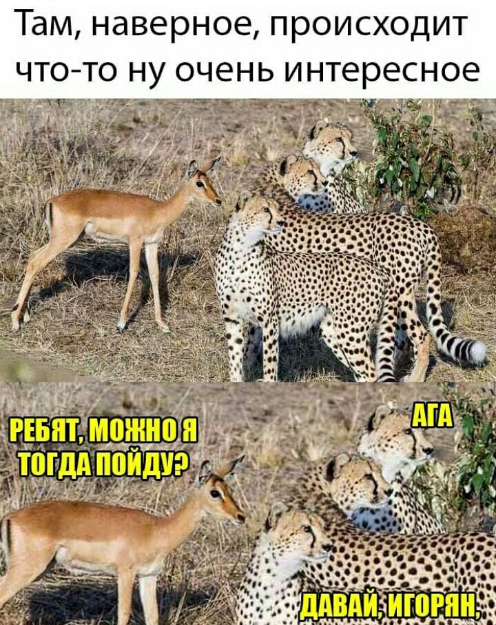 ТЭМ наверное ПРОИСХОДИТ ЧТО ТО Ну ОЧЕНЬ интересное гич
