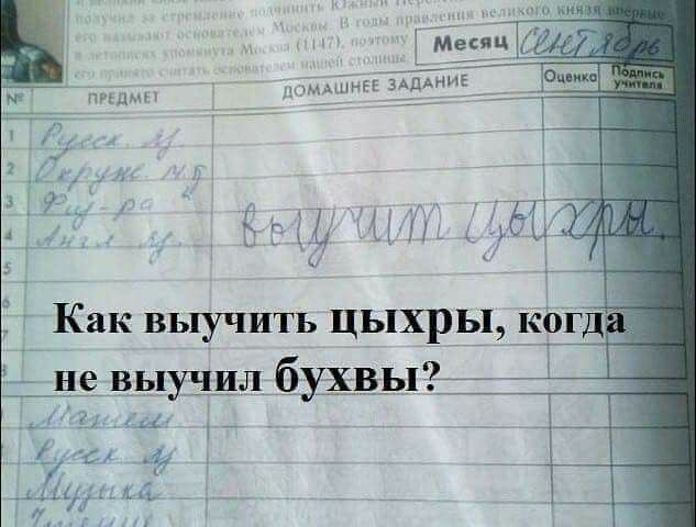 351 ы