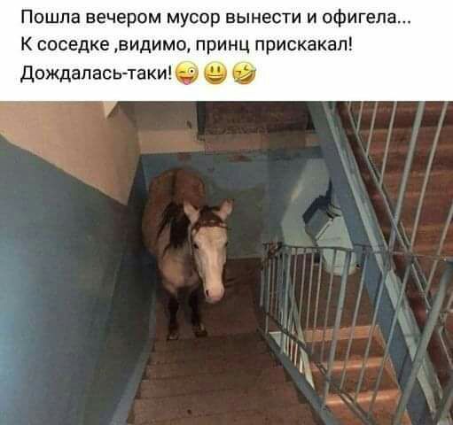 Пошла вечером мусор вынести и офигела К соседке видимо принц прискакал дождалась таки