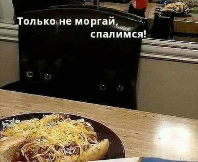 _Только не моргай__ спалимся