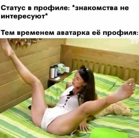 Статус в профиле знакомст а не интересуют Тем временем аватарка её профиля