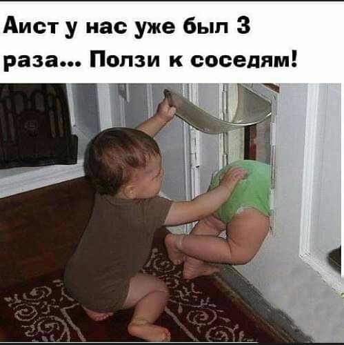 Аист у нас уже был 3 раза Попзи к соседям