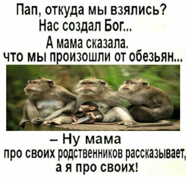 Пап откуда мы взялись Нас создал Бог А мама сказала что мы произошли от обезьян Ну мама про своих родственников рассказывает а я про СВОИХ