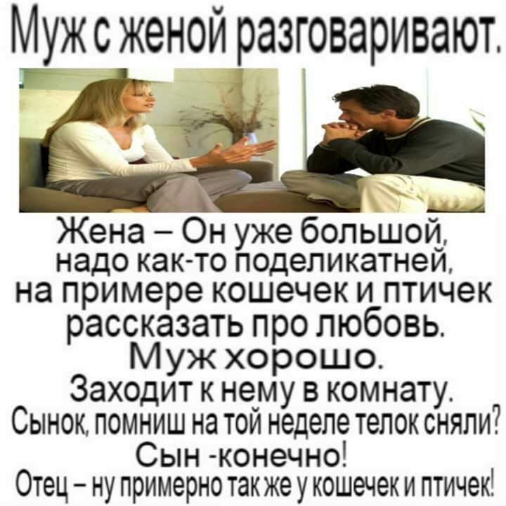 Мужсженой разговаривают _ _ Жена Он уже большой_ надо как то поделикатнеи на примере кошечек и птичек рассказать про любовь Муж хорошо Заходит к нему в комнату Сынок помниш на той неделе телок сняли Сын конечно Отец ну примерно также у кошечек и птичек