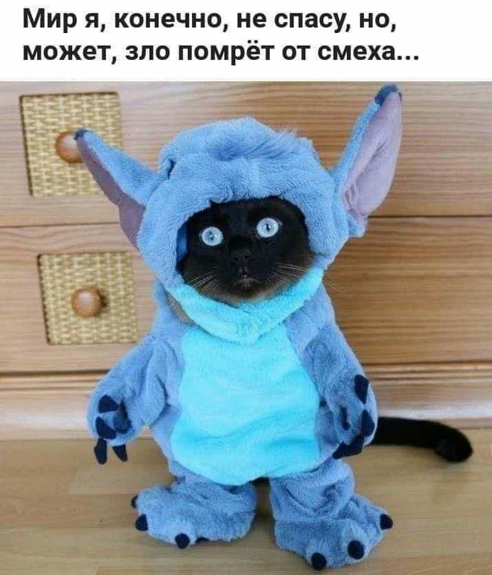 МИР Я конечно не спасу НО МОЖЭТ ЗЛО ПОМРЁТ ОТ смеха