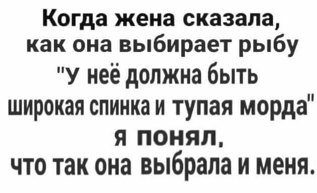 Когда жена сказала как она выбирает рыбу У неё должна быть широкая спинка и тупая морда Я ПОНЯЛ ЧТО ТЗК она выбрала И меня