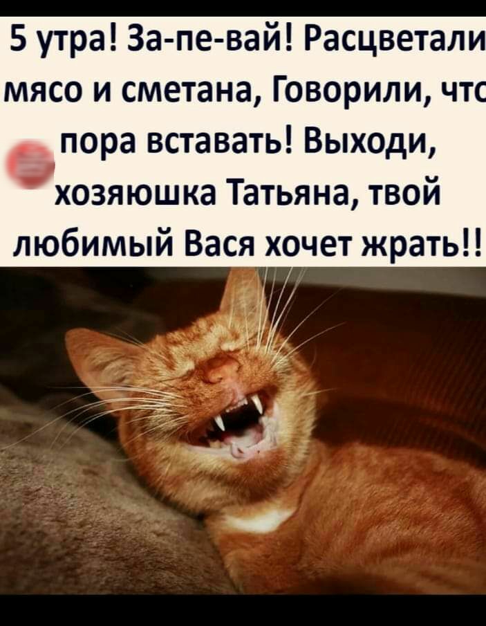 5 утра За пе вай Расцветали мясо и сметана Говорили чт епора вставать Выходи хозяюшка Татьяна твой любимый Вася хочет жрать