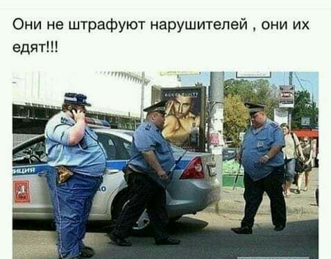 Они не штрафуют нарушителей они их едят