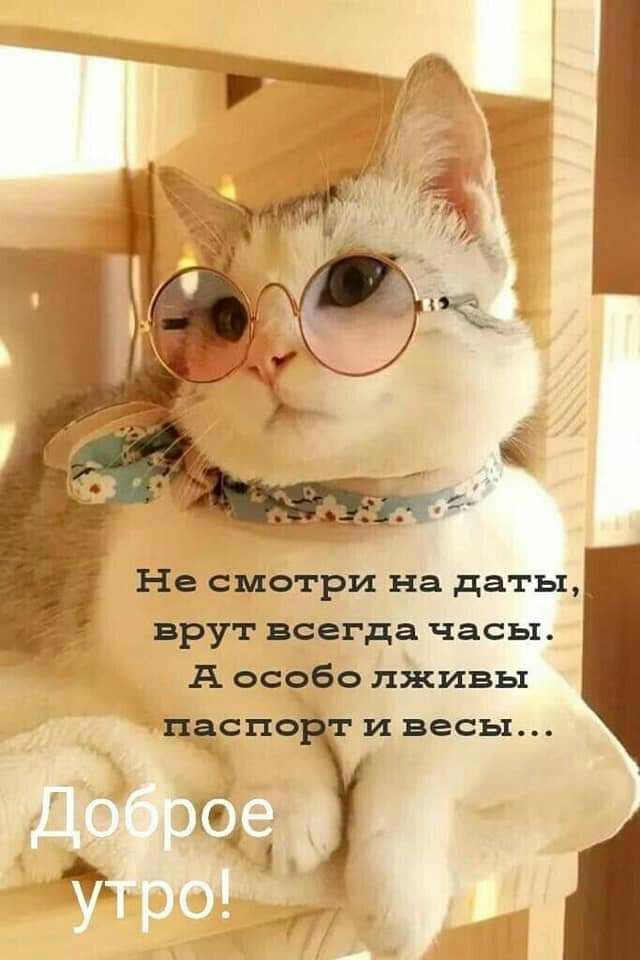 Не смотри на даты врут всегда часы А особо лживы пёспо т и весы Г