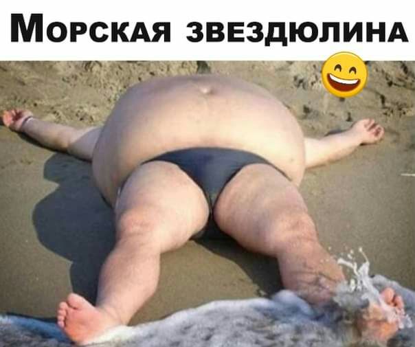 МОРСКАЯ ЗВЕЗДЮЛИНА
