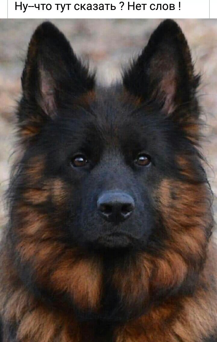 Ну что тут сказать Нет слов