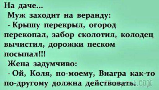На даче Муж заходит на веранду Крышу перекрыл огород перекопал забор сколотил колодец ВЬШИСШ дорОЖЛШ песком посыпал Жена задумчиво Ой Коля по моему Виагра както по другому должна действовать
