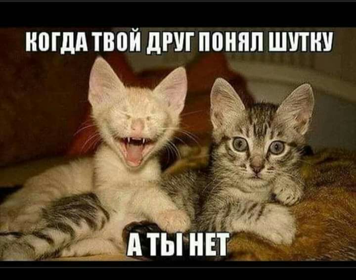 ППМ ТВПЙ ШШ ПШШЛШПНУ