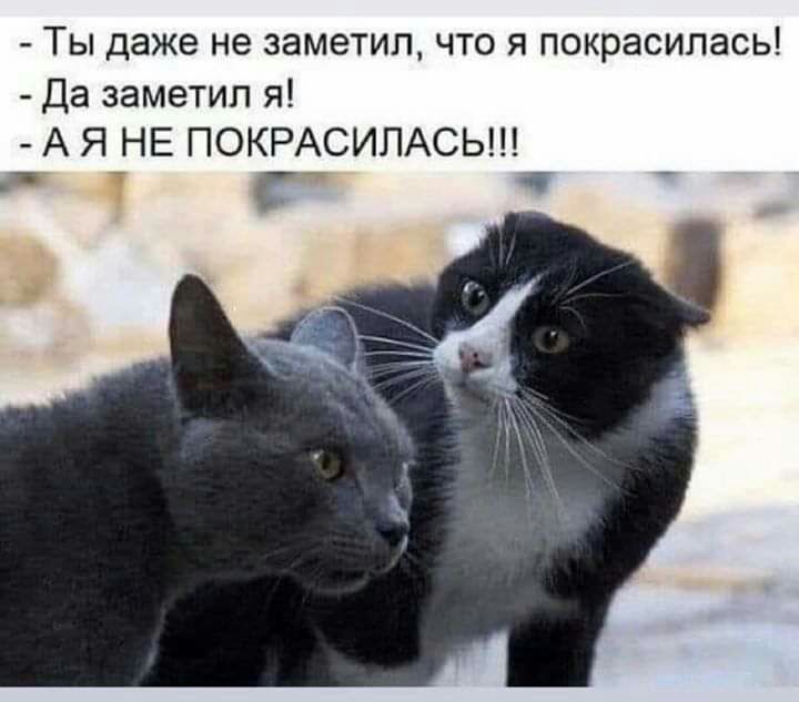 ТЫ даже не ЗЗМЭТИП ЧТО Я ПОКЭЭСИПЭСЬ Да заметил я А Я НЕ ПОКРАСИПАСЬ дцп
