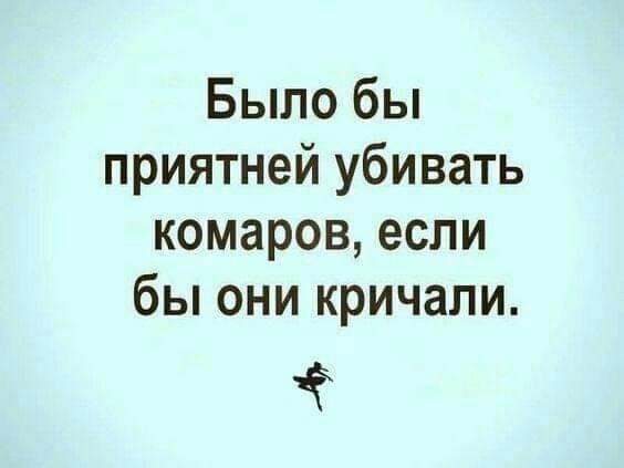 Было бы приятней убивать комаров если бы они кричали чё