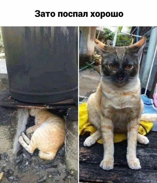 Зато ПООПЗЛ ХОРОШО