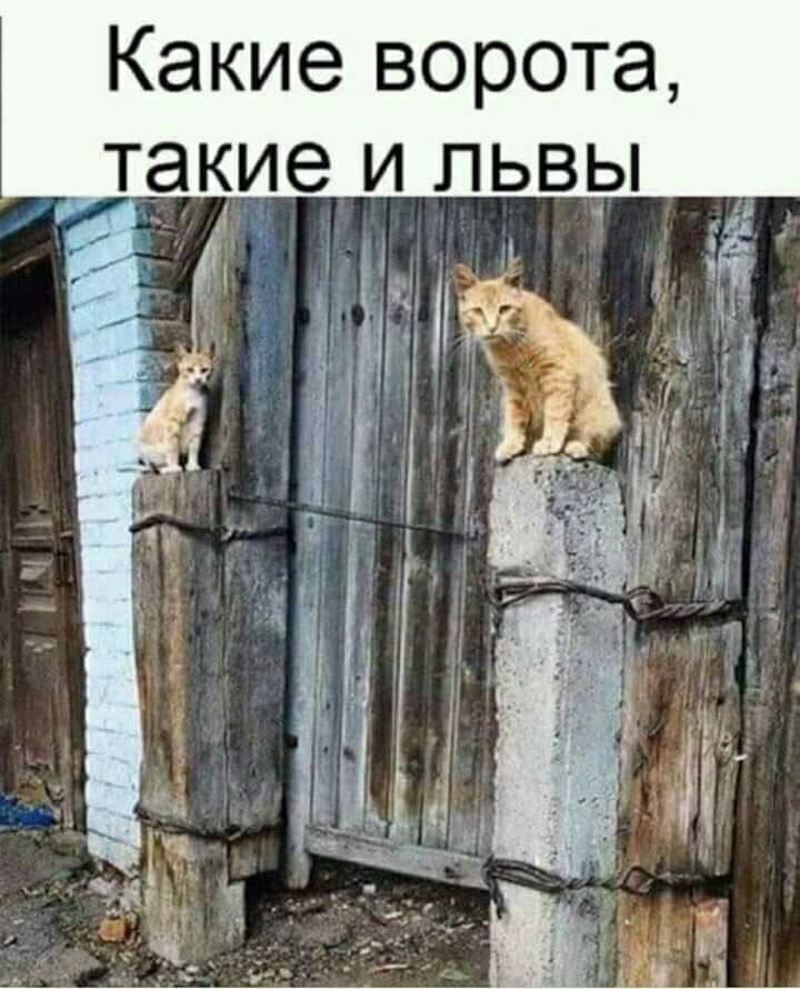 Какие ворота такие и львы