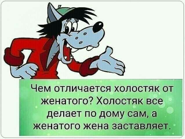 Чем отличается холостяк от _ женатого Холо делает по дом Аіженатого жена