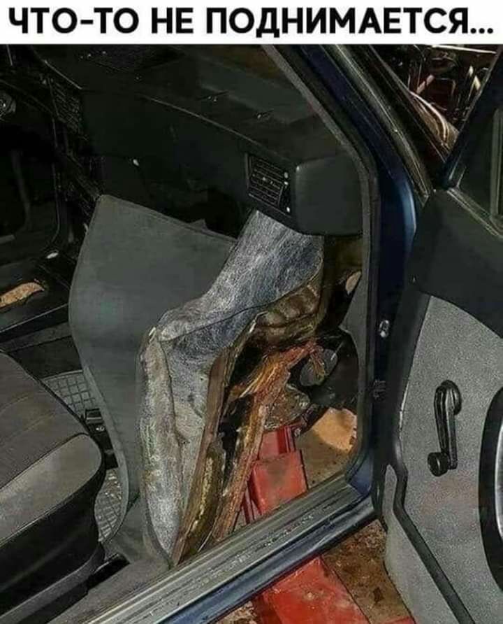 Я С Т Е А М И Н Л О П Е Н О Т ч