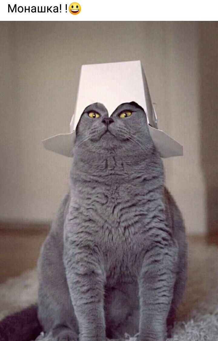 Монашка