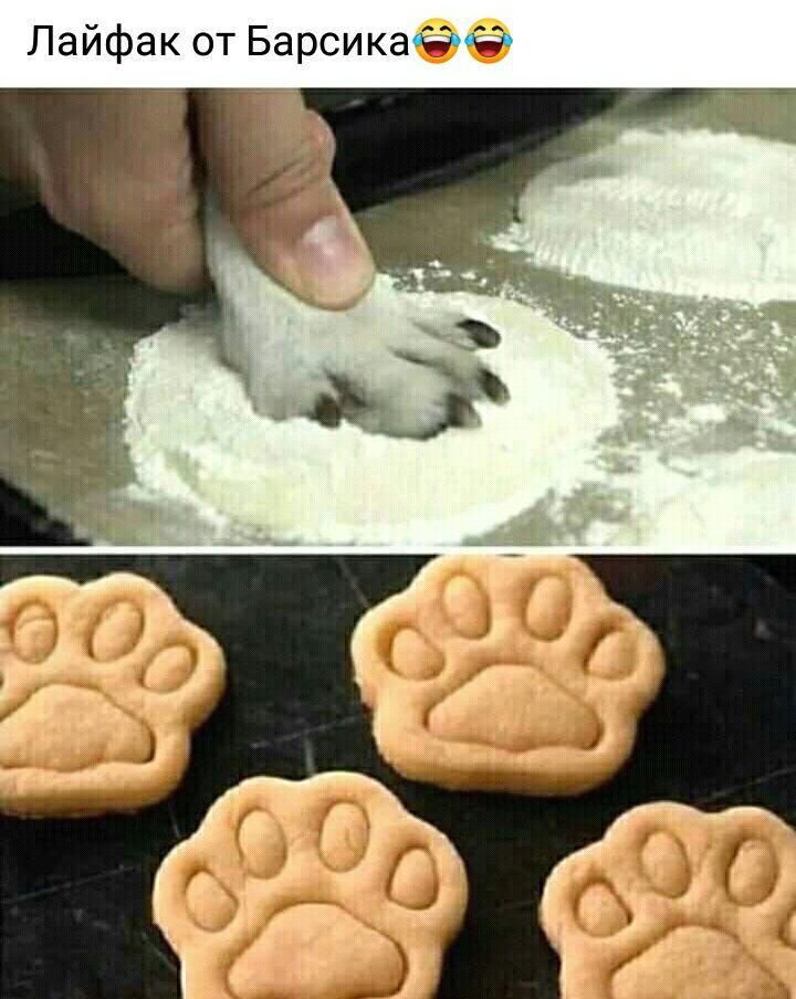 Лайфак от Барсикаозгпсэ