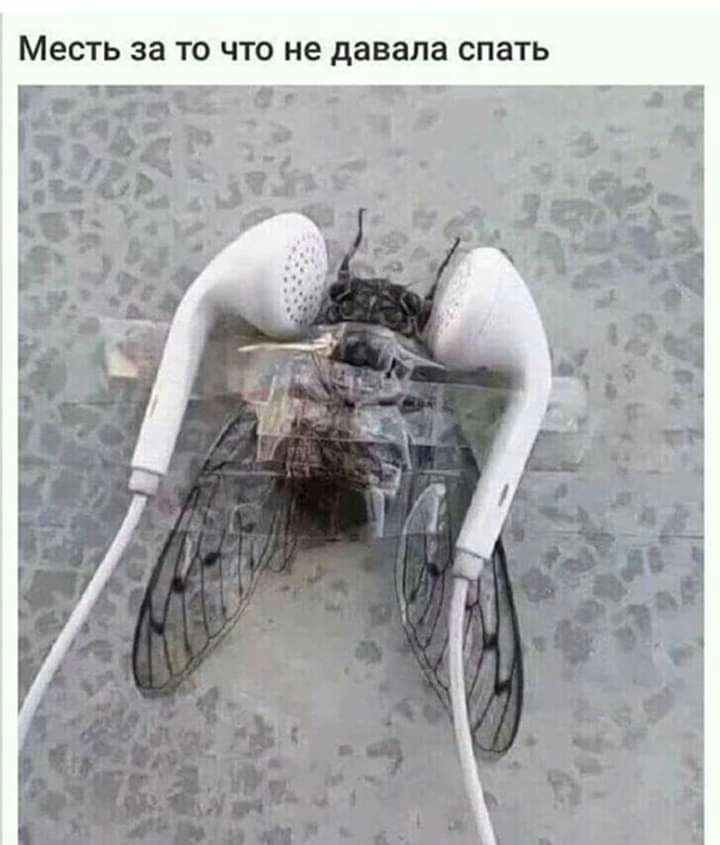 Месть за ТО ЧТО не давала СПЗТЬ