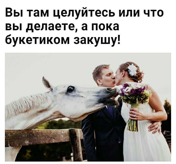 Вы там целуйтесь или что вы делаете а пока букетиком закушу
