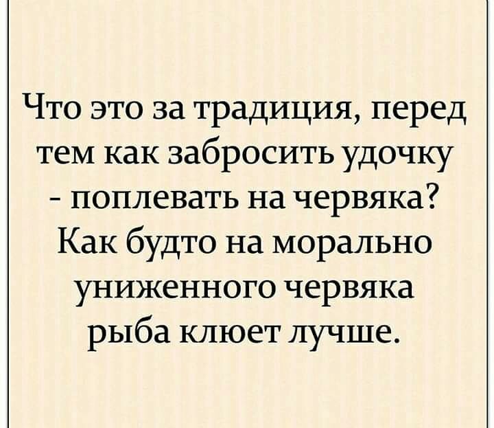 Что это за традиция перед теМ как забросить удочку поплевать на червяка Как будто на морально униженного червяка рыба клюет лучше