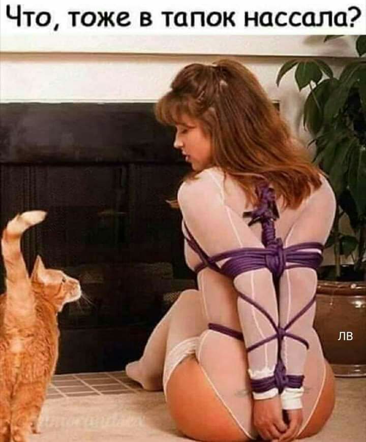 Что тоже в тапок нассала