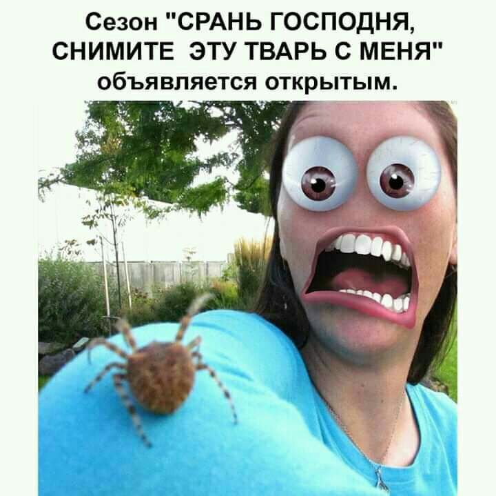 Сезон СРАНЬ ГОСПОДНЯ СНИМИТЕ ЭТУ ТВАРЬ С МЕНЯ