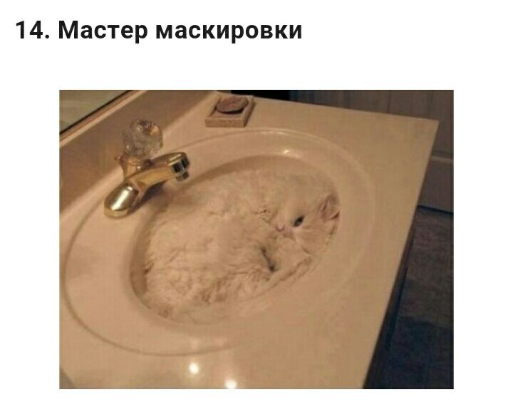 14 Мастер маскировки