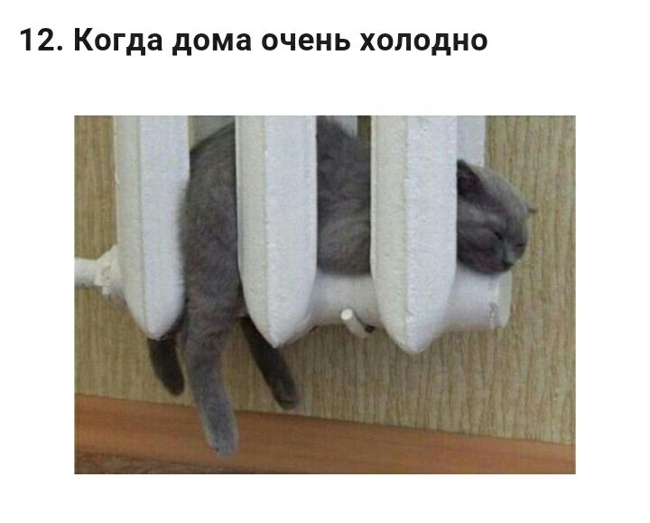 12 Когда дома очень холодно