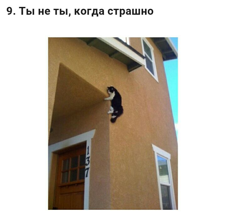 9 Ты не ты когда страшно