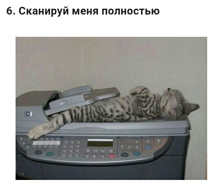 б Сканируй меня полностью