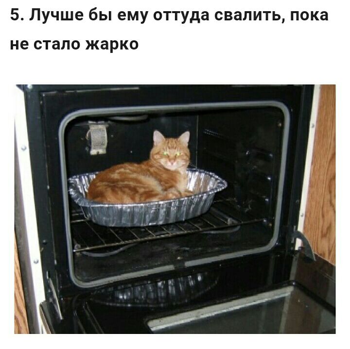 5 Лучше бы ему оттуда свалить пока не стало жарко