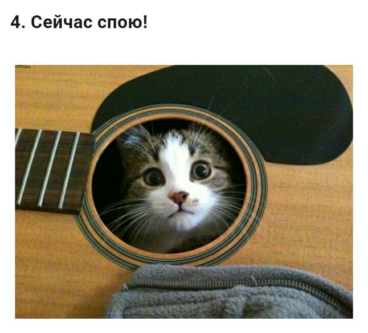 4 Сейчас спою