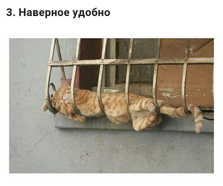 З Наверное удобно