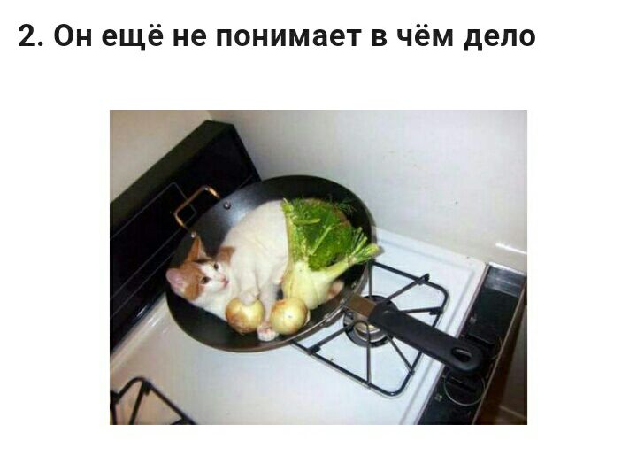 2 Он ещё не понимает в чём дело