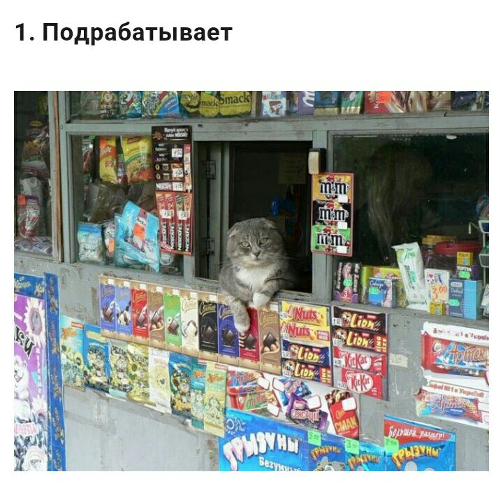 1 Подрабатывает