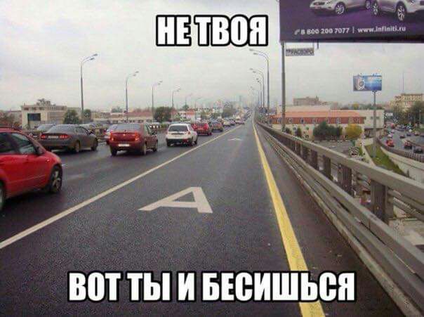 ВПТ ТЫ И БЕВИШЬВЯ