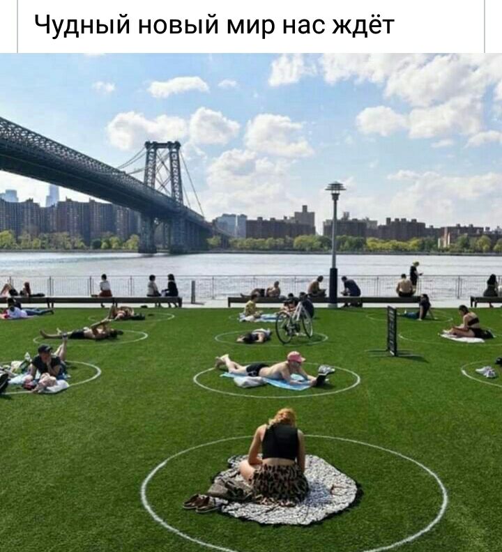 Чудный новый мир нас ждёт
