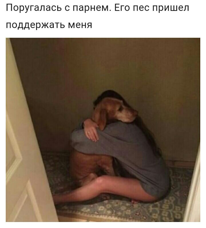 Поругалась с парнем Его пес пришел ПОДДЭРЖдТЬ меня