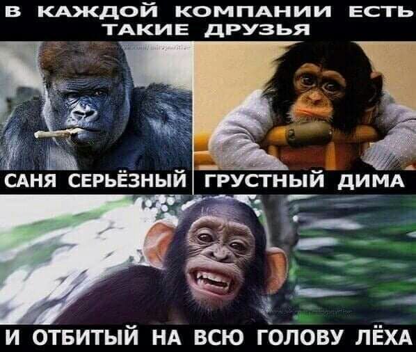 в кдждой КОМПАНИИ есть ТАКИЕ друзья и отвитый НА всю гЬЛову ЛЁХА