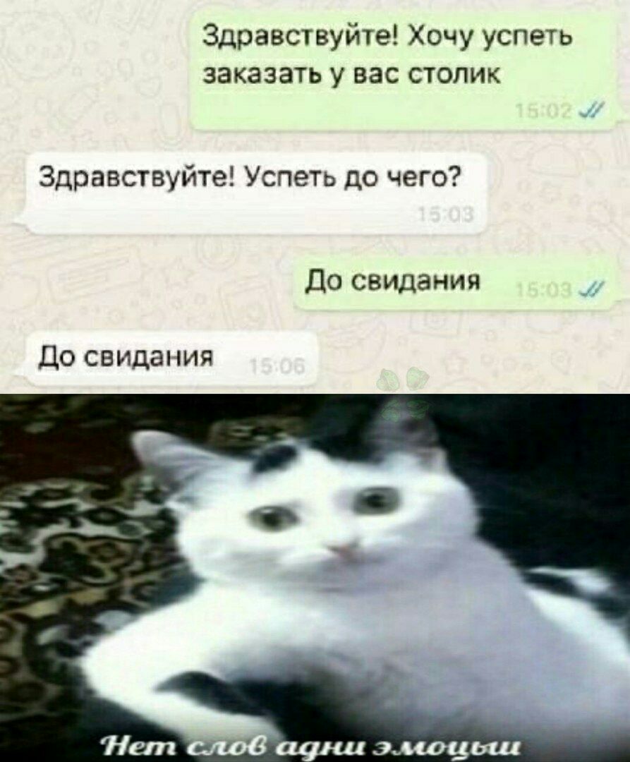 Здравствуйте Хочу успеть заказать у вас столик Здравствуйте Успеть до чего До свидания До свидания