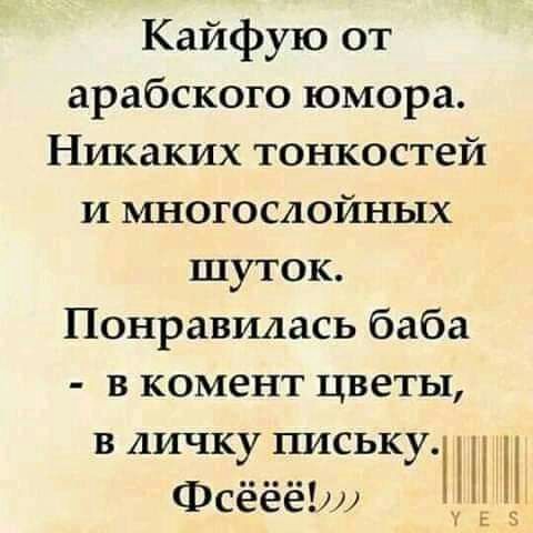 Кайфую от арабского юмора Никаких тонкостей и многослойных шуток Понравилась баба в комент цветы в личку письку ФсёёёЬи ТЕ 5