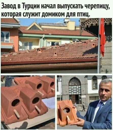 Завод в Турции начал выпускать черепицу котоая лужит домиком для птиц
